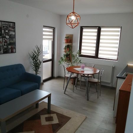 Villa 38 Silviu Apartment Boekarest Buitenkant foto