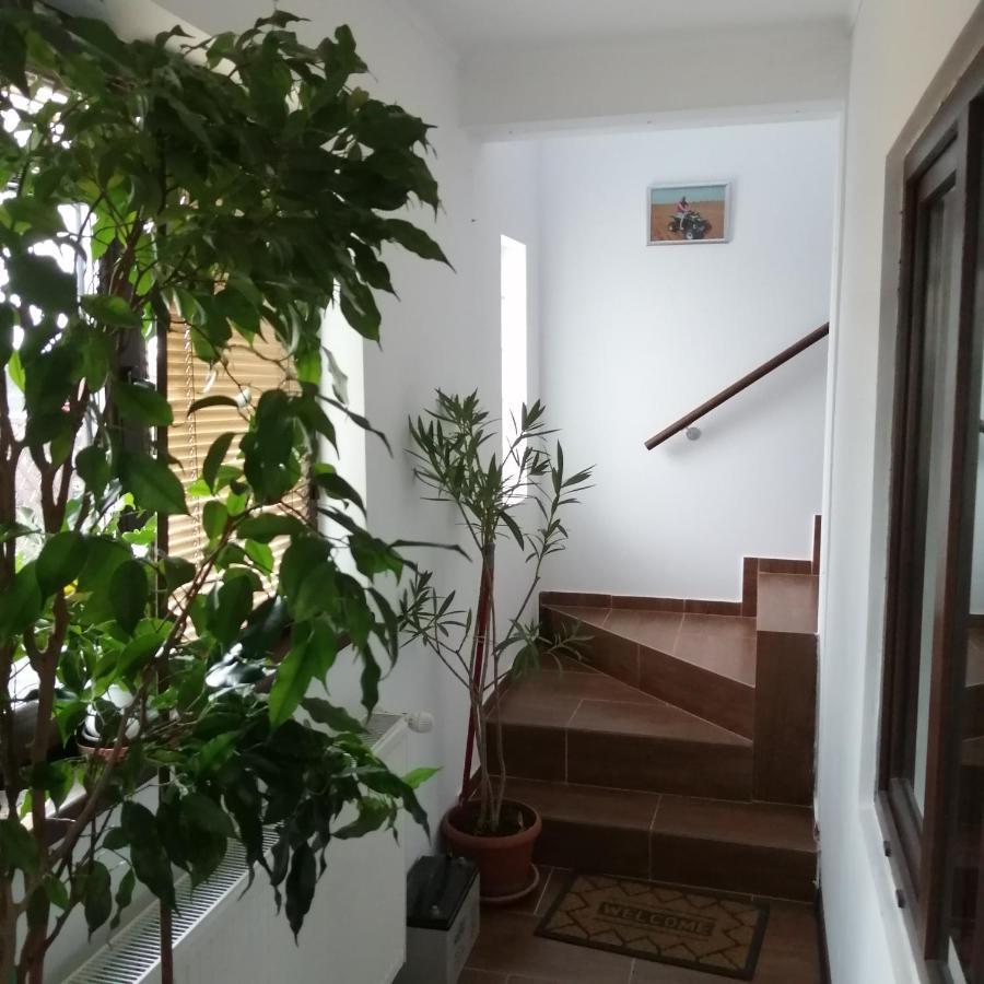 Villa 38 Silviu Apartment Boekarest Buitenkant foto